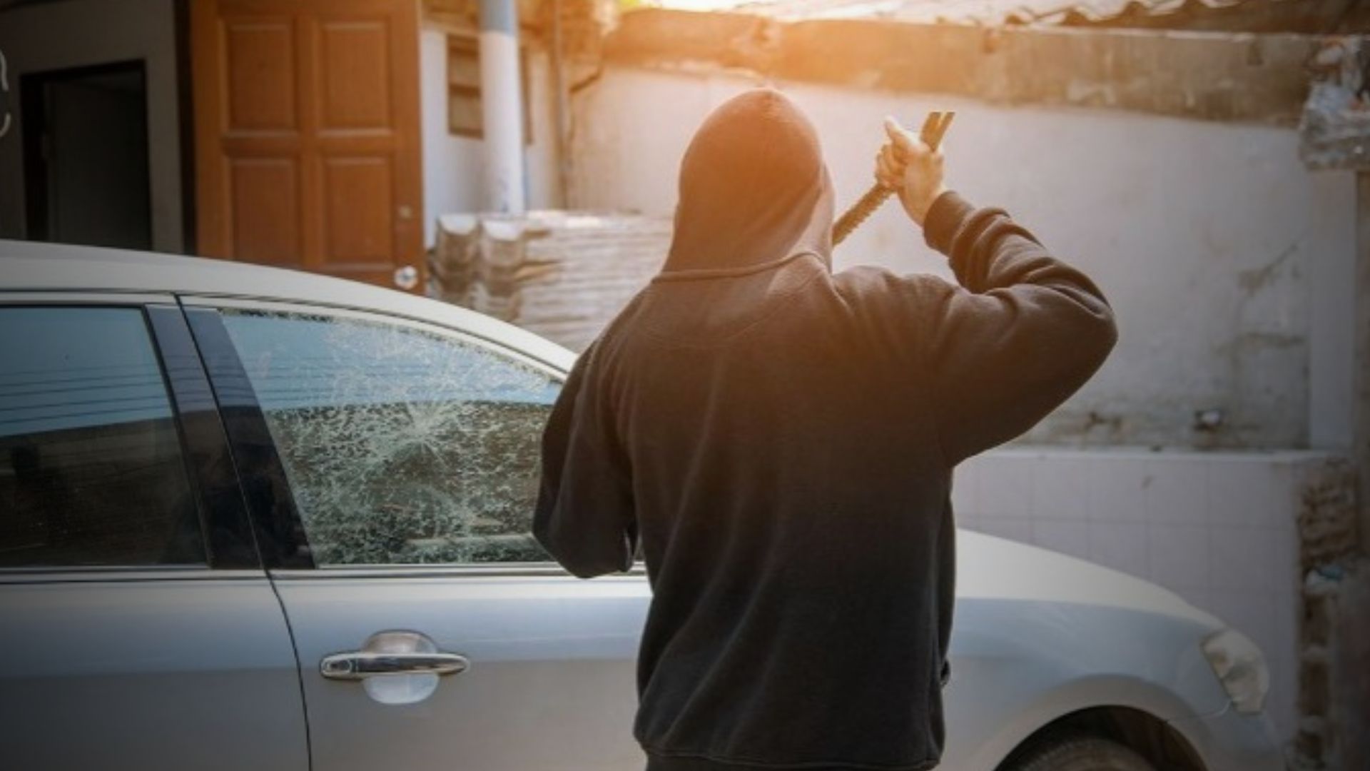 Película Antivandalimso